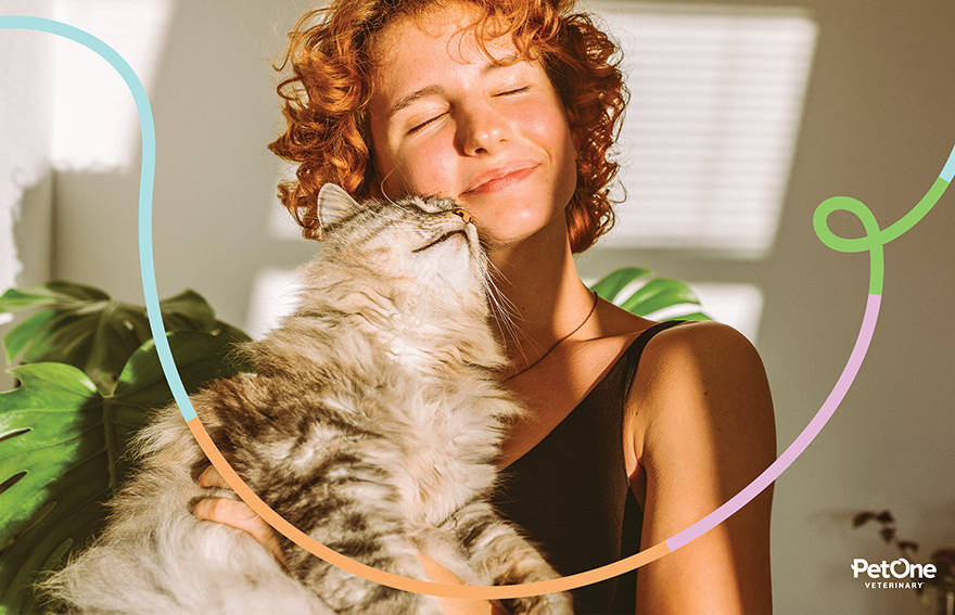 A woman smiling and holding her cat to her face in the sunlight of her window.