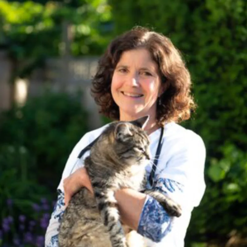 Dr. Tina Gemeinhardt Dr. Tina Gemeinhardt