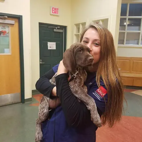 Puppy Love Puppy Love