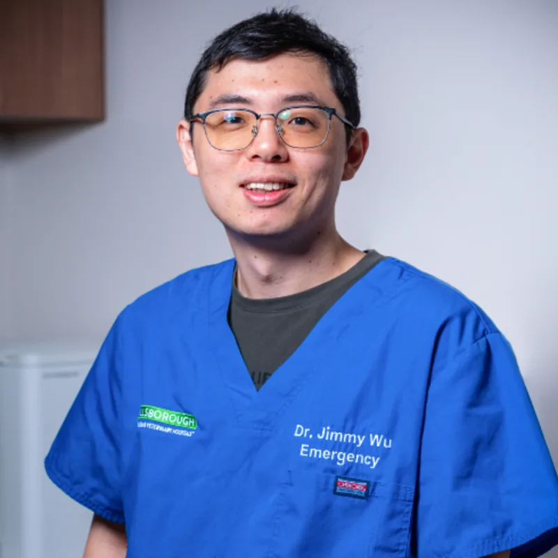 Jimmy Wu Smiling in front of the camera Jimmy Wu Smiling in front of the camera