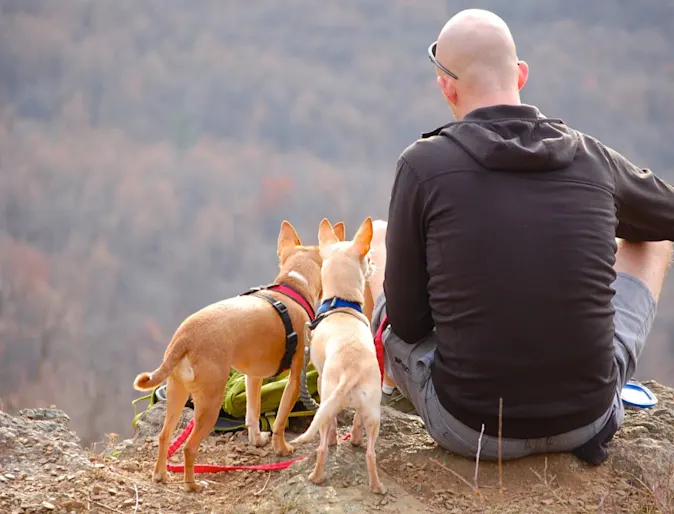 Man Sitting with Two Dogs on Top of Cliff Man Sitting with Two Dogs on Top of Cliff
