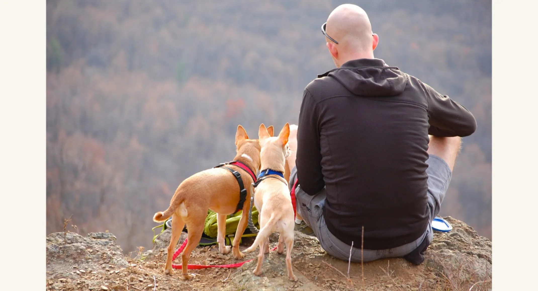 Man Sitting with Two Dogs on Top of Cliff Man Sitting with Two Dogs on Top of Cliff