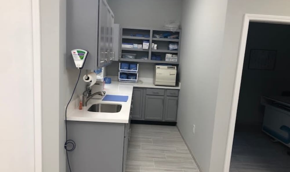 Longwood Animal and Pet Resort sink and counter