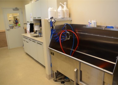 Brookfield Veterinary Hospital Grooming