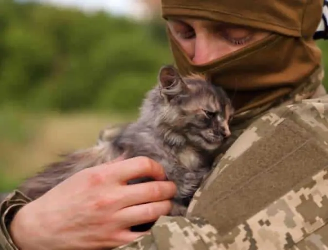 soldier holding kitten soldier holding kitten