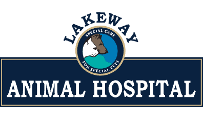 Lakeway Animal Hospital-HeaderLogo
