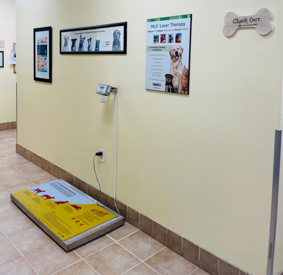 Huffard Animal Hospital Pet Scale
