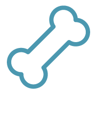 Bone Icon