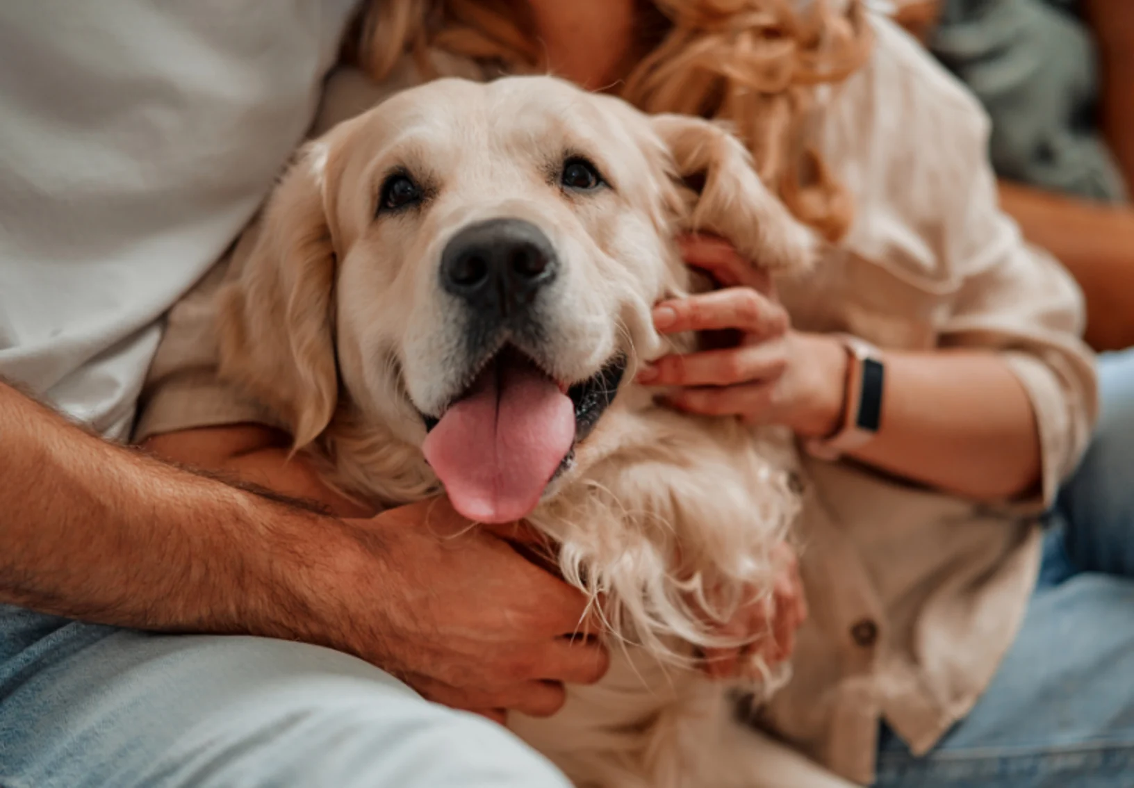 Couple Hugging Golden Retriever Couple Hugging Golden Retriever
