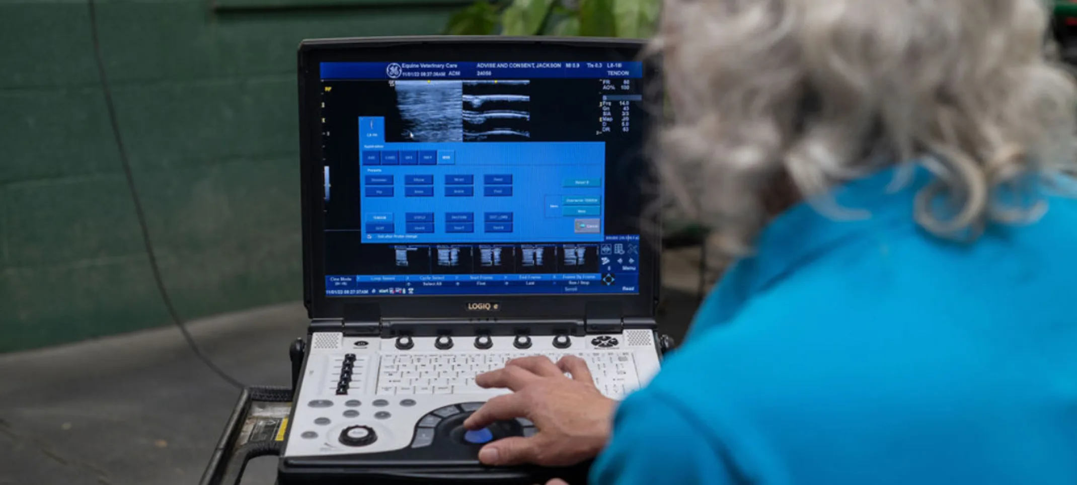 Staff member reviewing an ultrasound image Staff member reviewing an ultrasound image