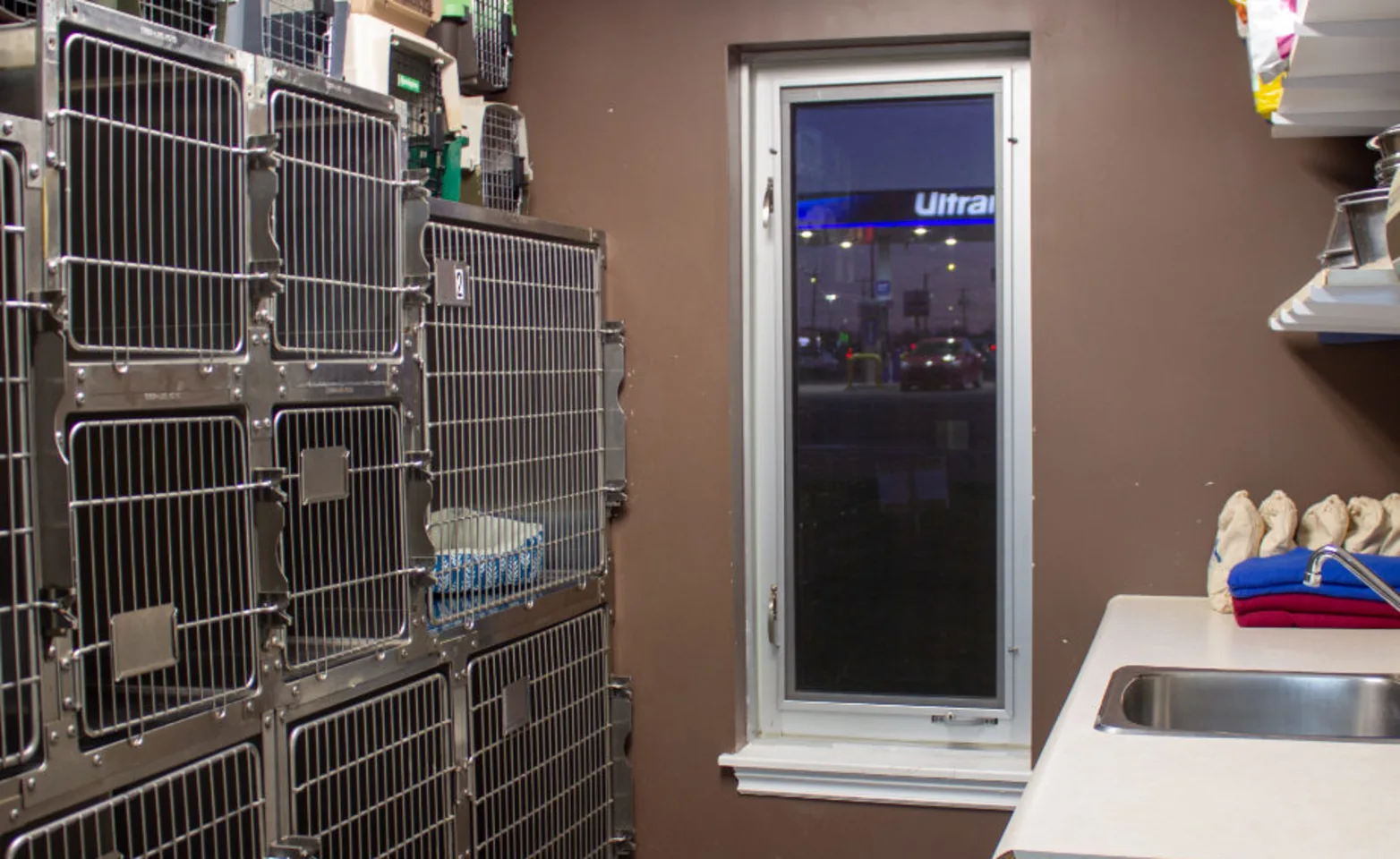 Cat kennel room with window and supplies