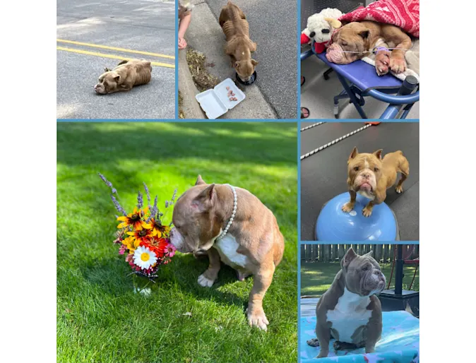 Hope for Hope: From the Brink of Death to a Life Full of Love Hope for Hope: From the Brink of Death to a Life Full of Love