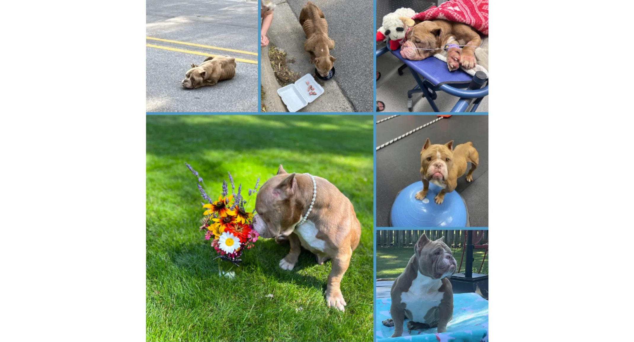 Hope for Hope: From the Brink of Death to a Life Full of Love Hope for Hope: From the Brink of Death to a Life Full of Love