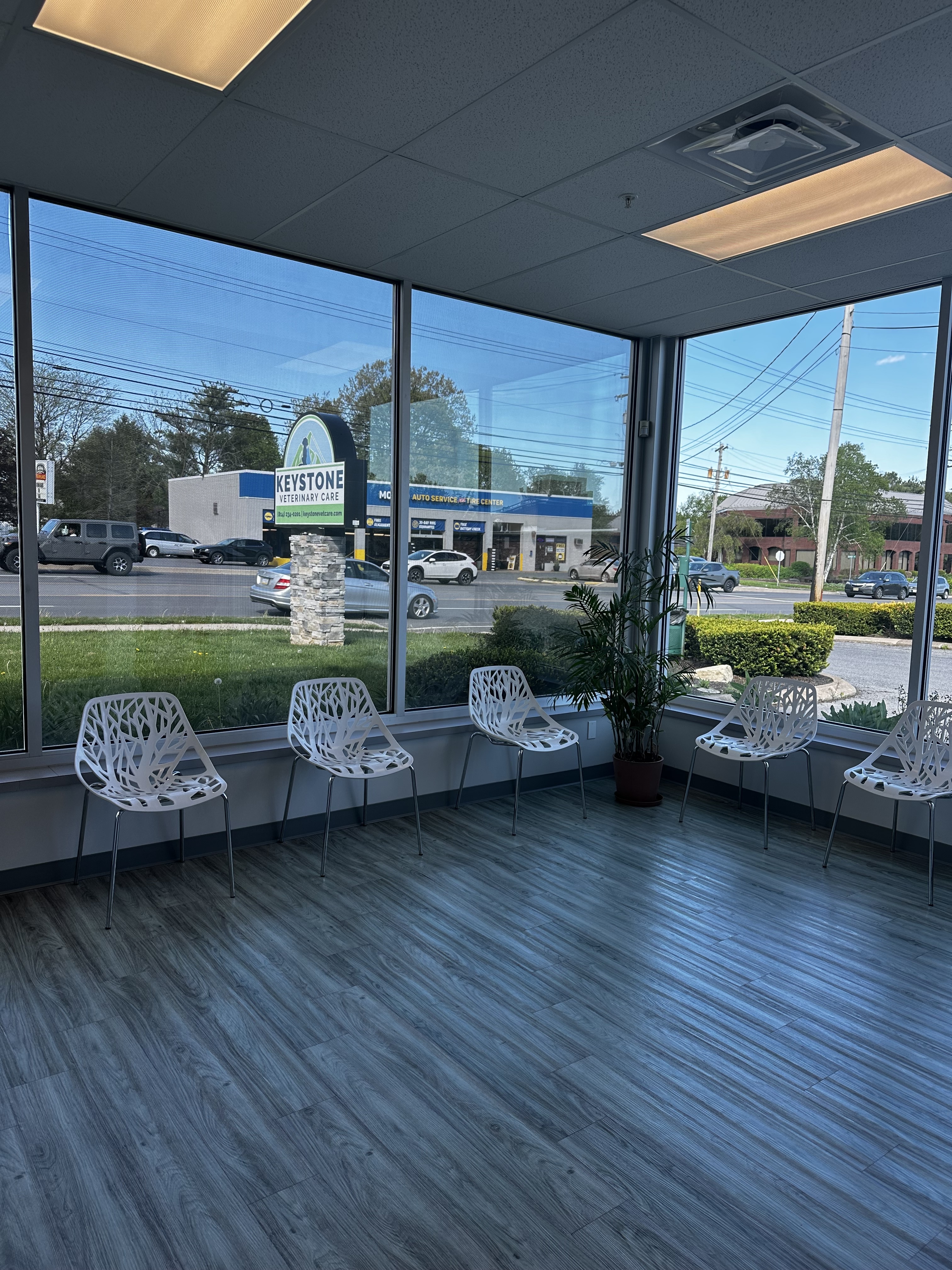 Keystone Veterinary Care Waiting Room Seating Area 