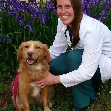 Kirstin Anderson at Danvers Animal Hospital