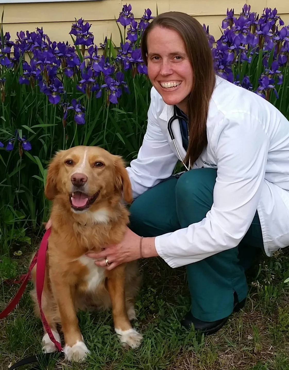 Kirstin Anderson at Danvers Animal Hospital Kirstin Anderson at Danvers Animal Hospital