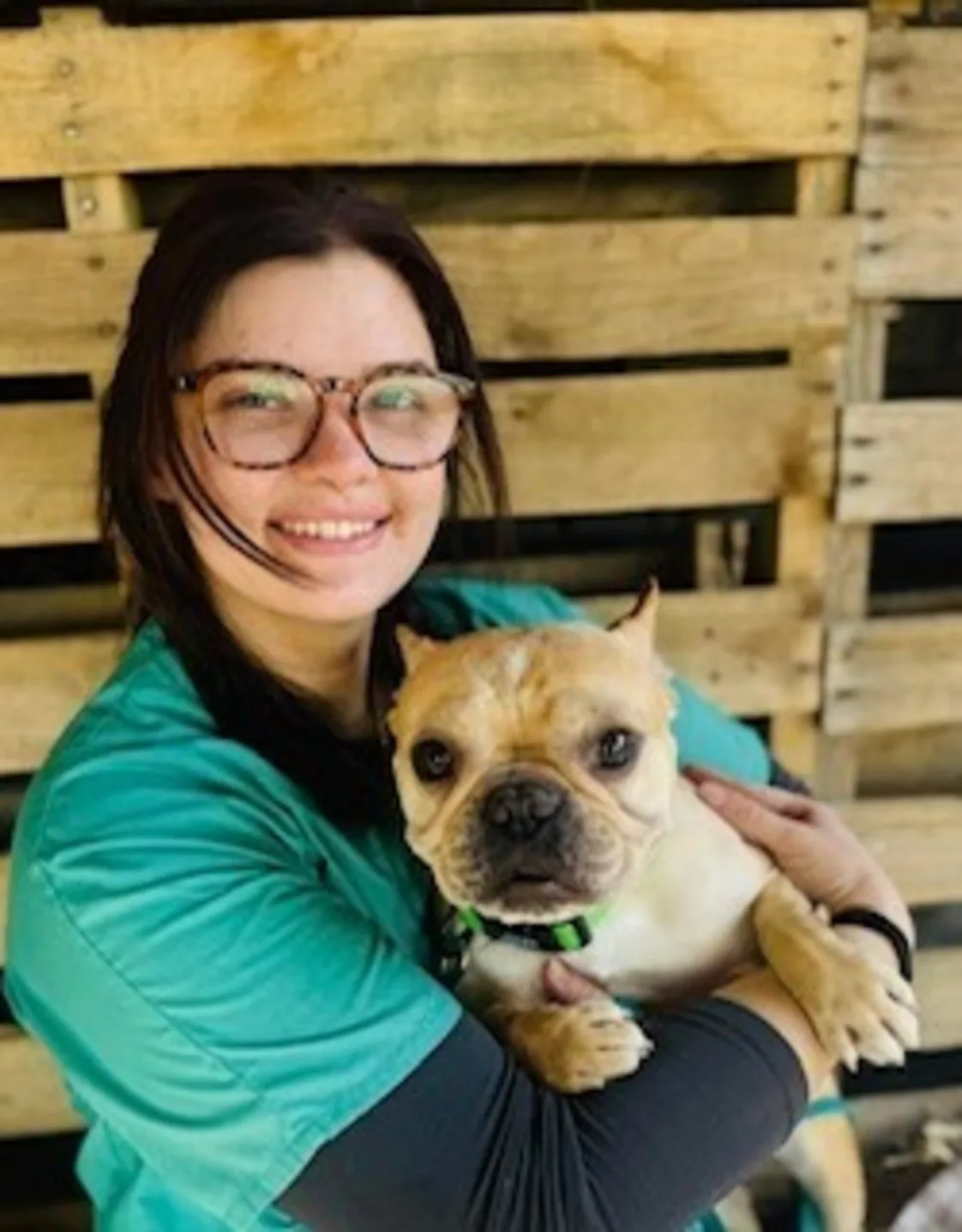 Marisa from Veterinary Group of Chesterfield Marisa from Veterinary Group of Chesterfield