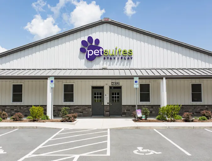 Dog and PetSuites staff member