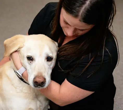Staff Holding Dog Staff Holding Dog