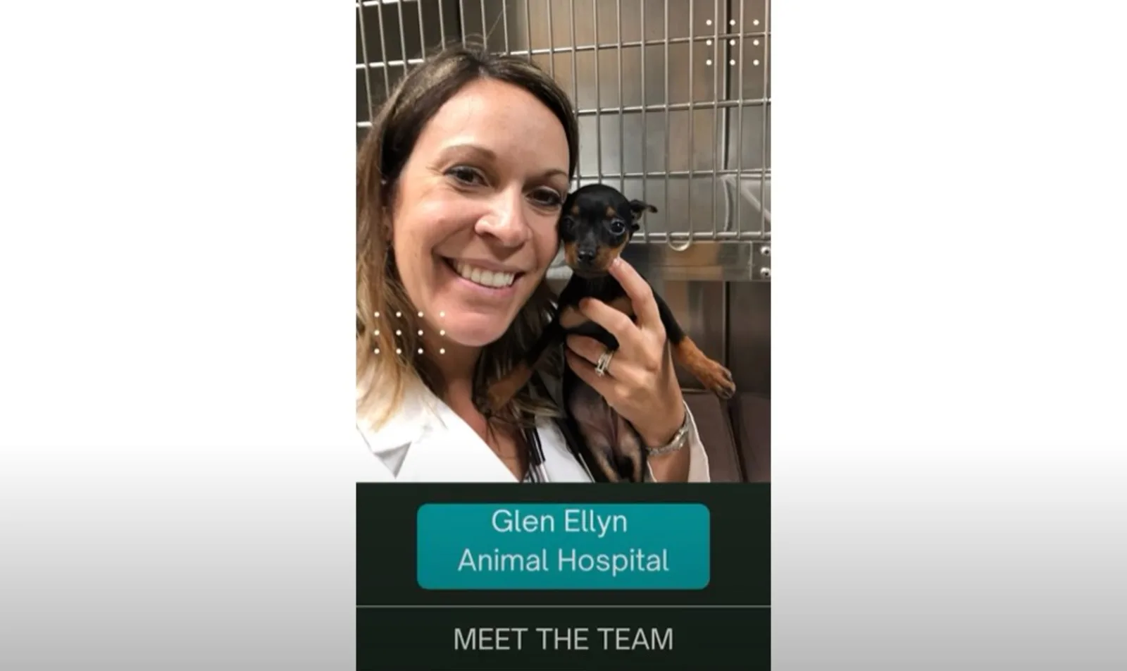 Screenshot of Glen Ellyn staff members