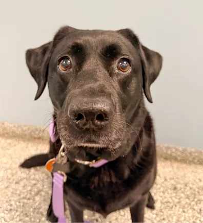 Evie Harasim Evie Harasim