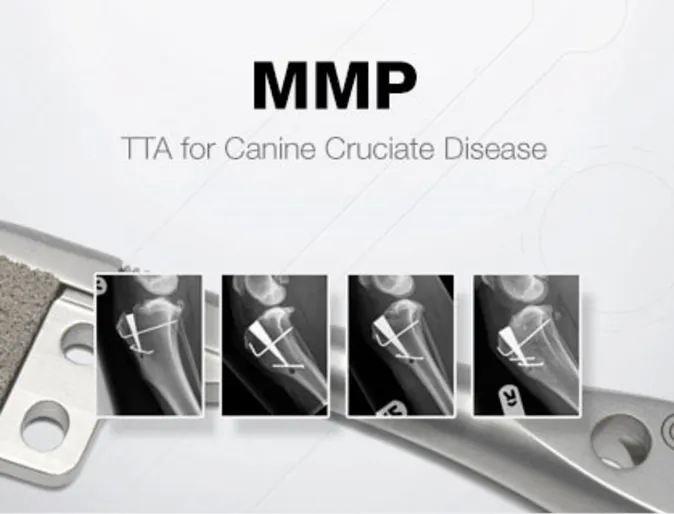 MMP image. MMP image.