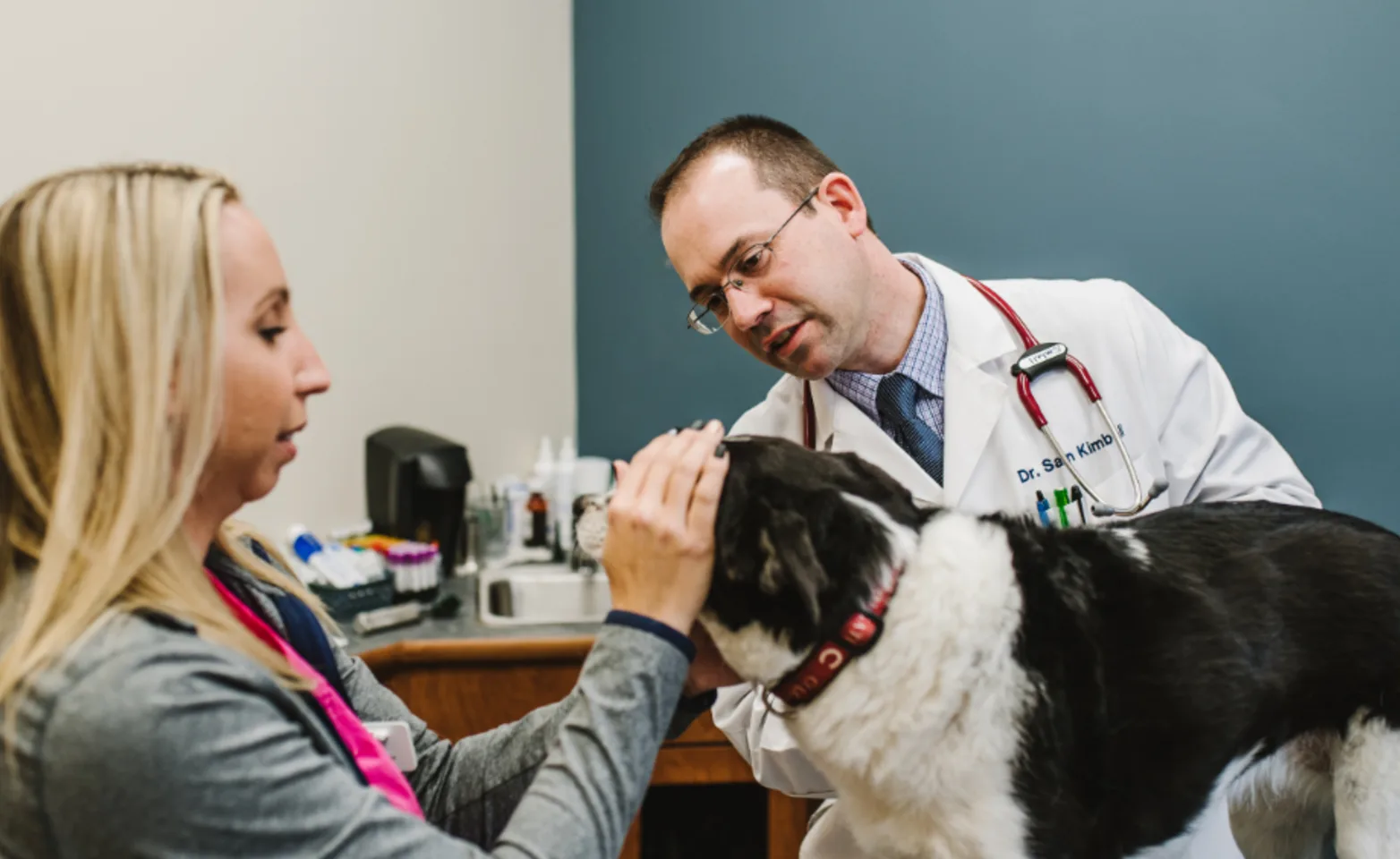 Doctor Checking on Dog with Nurse