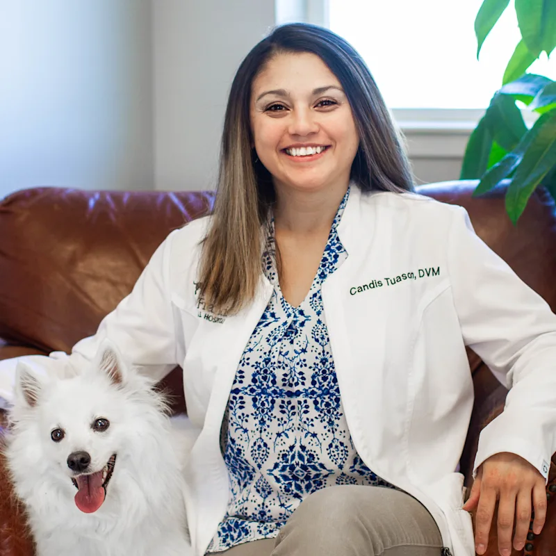 Dr. Tuason Dr. Tuason