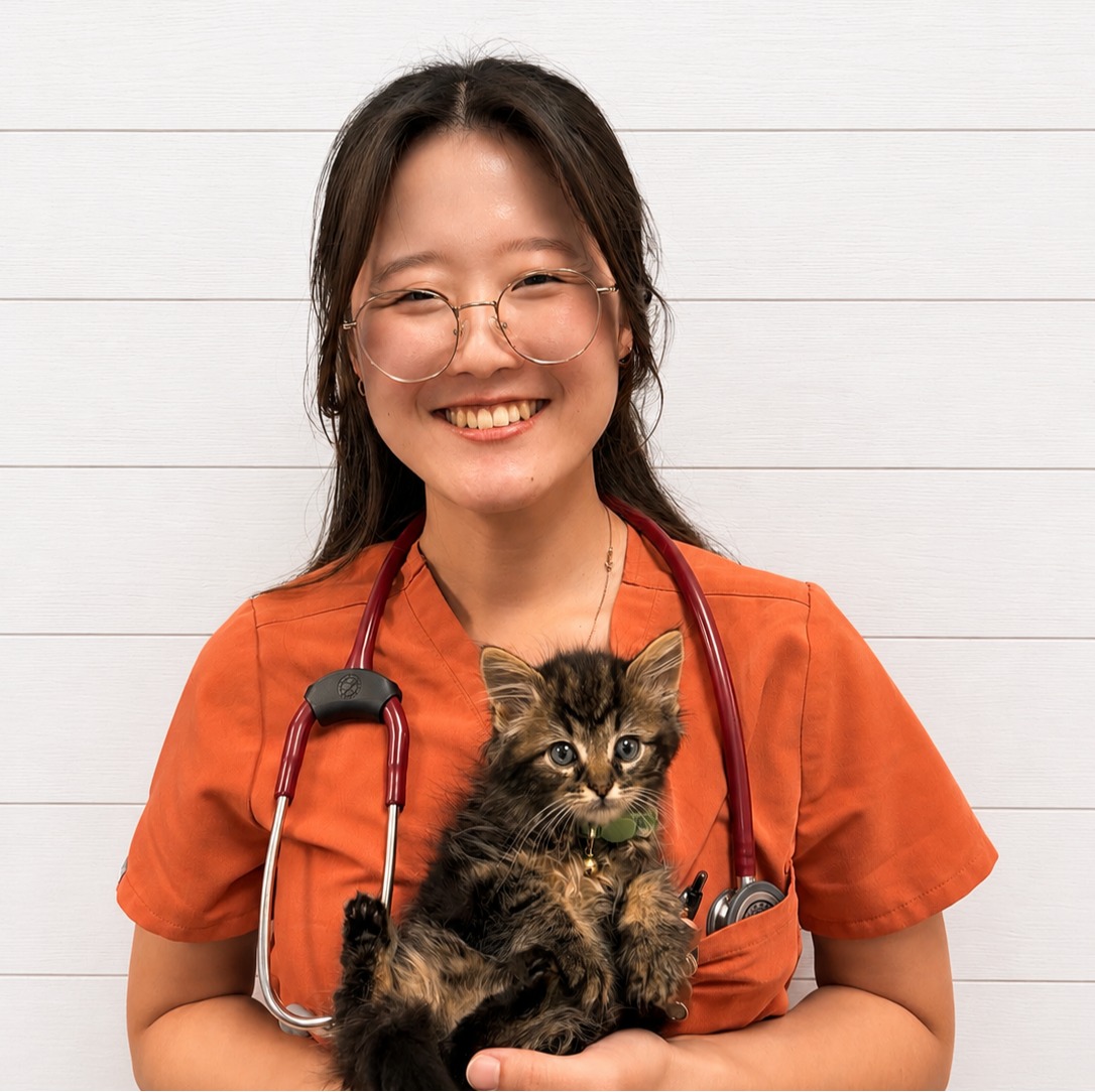 Dr Jenny Jin