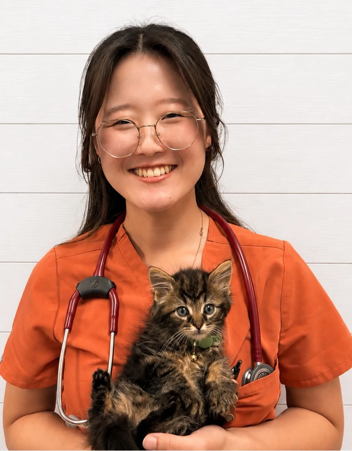 Dr Jenny Jin Dr Jenny Jin