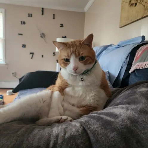 Mr. Kittles Nickens Mr. Kittles Nickens