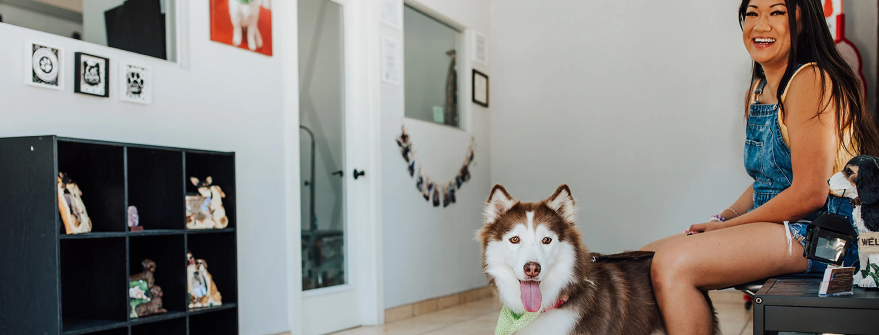 Huskey in waiting room AAHA Logo