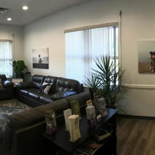 SCAN Clearwater's waiting room for pet parents SCAN Clearwater's waiting room for pet parents