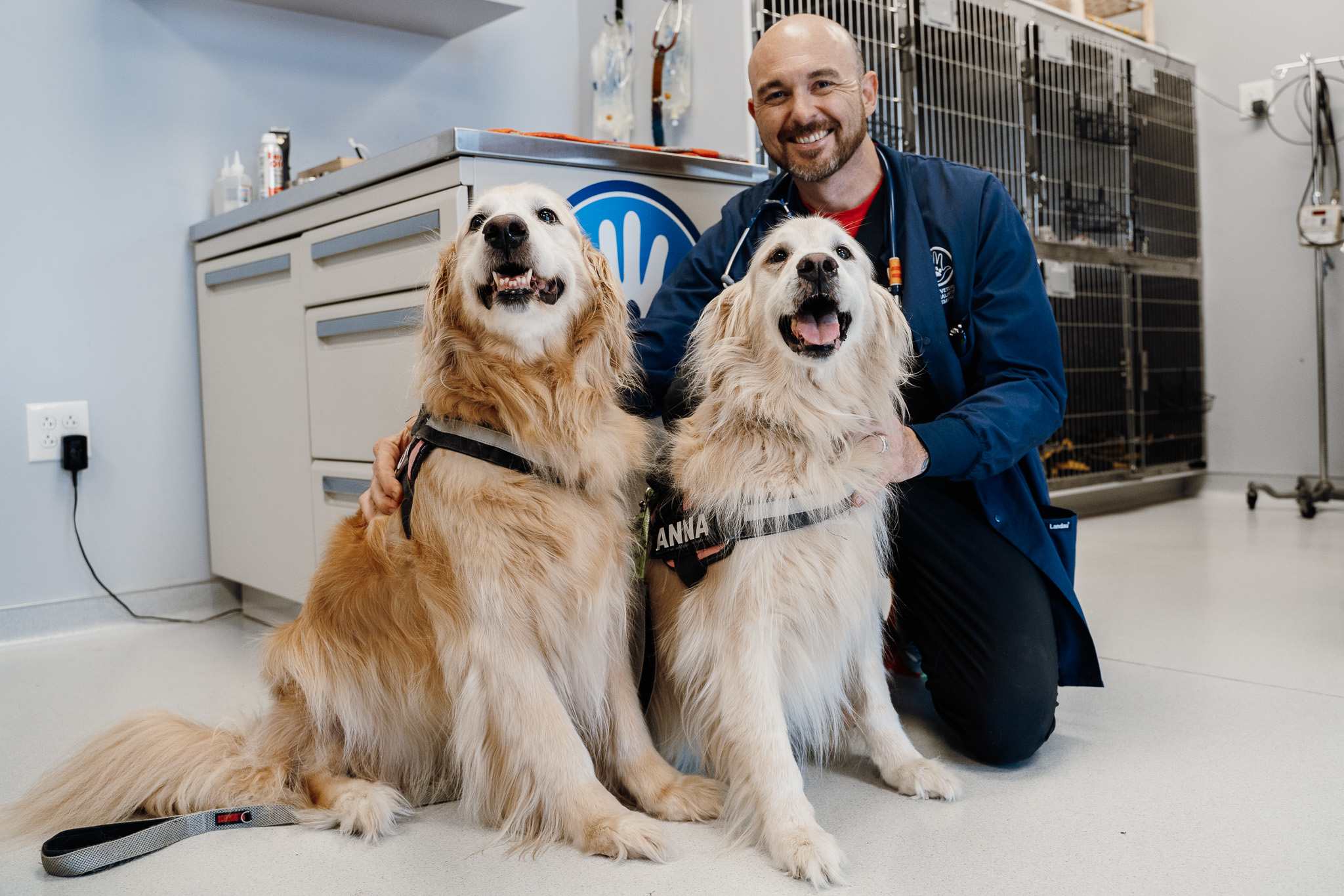 Staff smiling next to two Golden Retrievers.