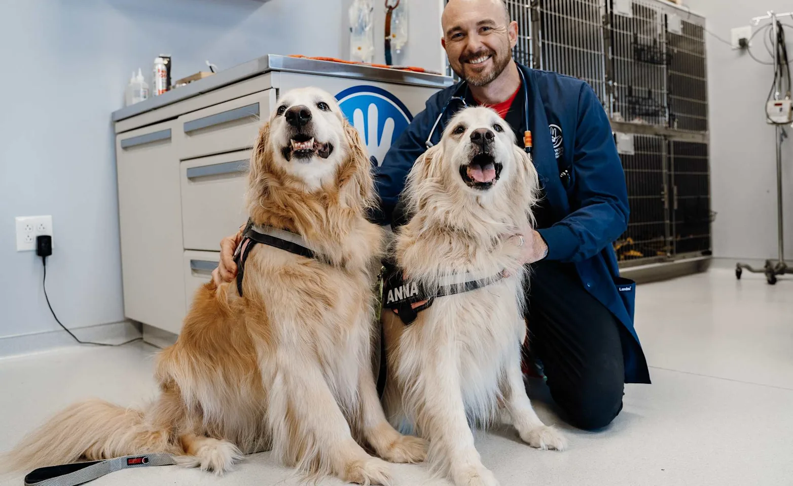 Staff smiling next to two Golden Retrievers. Staff smiling next to two Golden Retrievers.