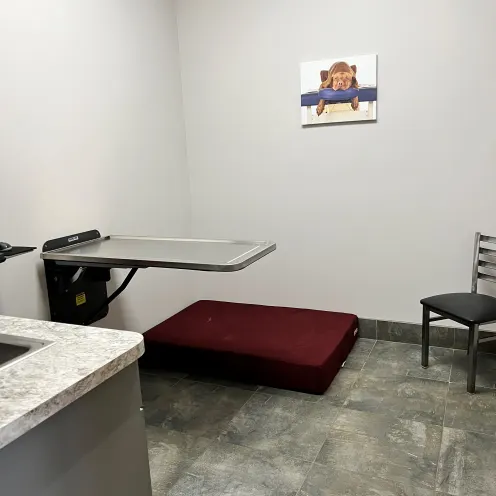 Exam room with table down