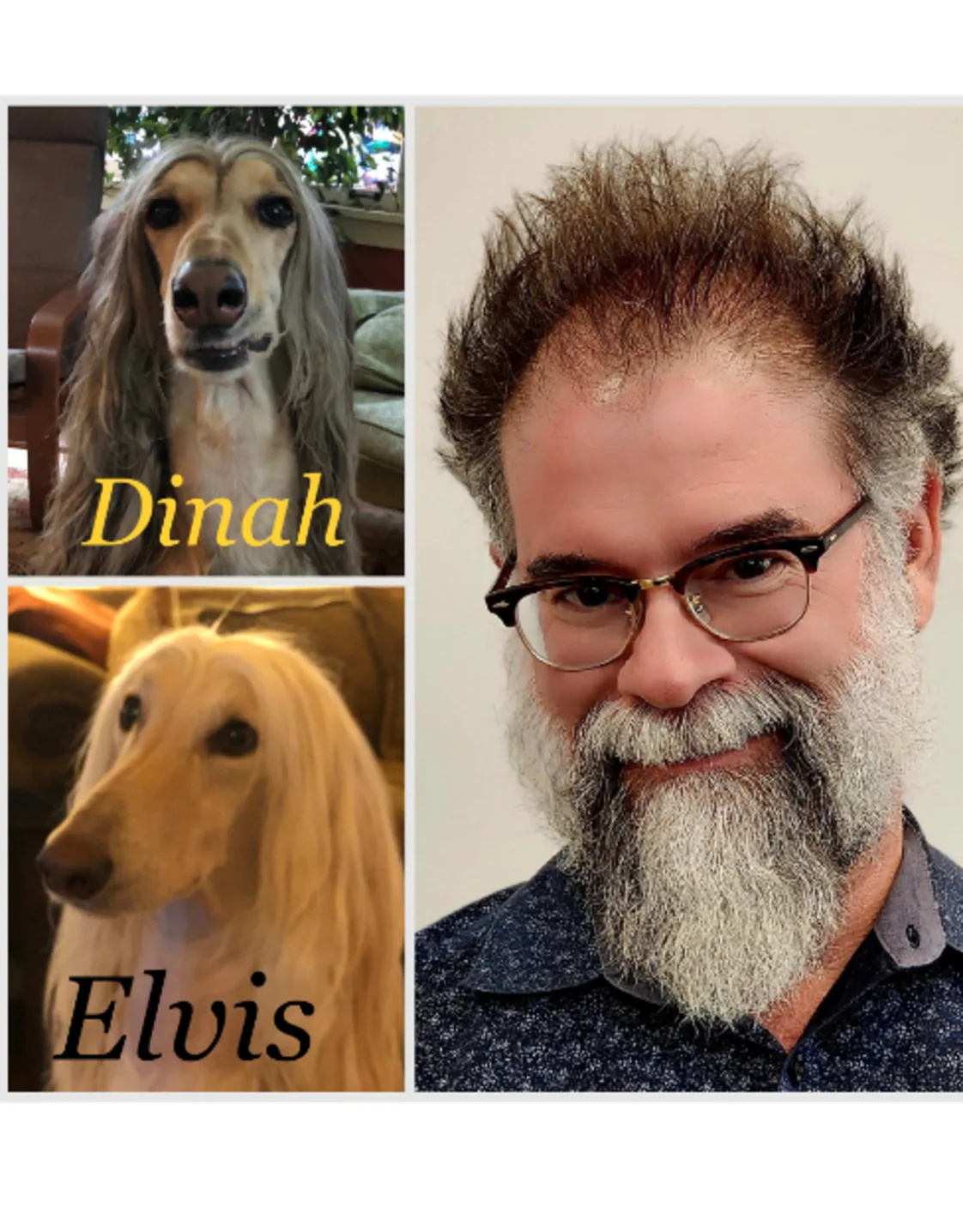 Scott Denhart of Value Vet, and his dog Dinah and Elvis Scott Denhart of Value Vet, and his dog Dinah and Elvis