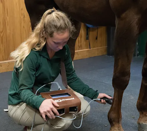 Staff members looking at an ultrasound Staff members looking at an ultrasound