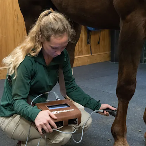 Staff members looking at an ultrasound Staff members looking at an ultrasound