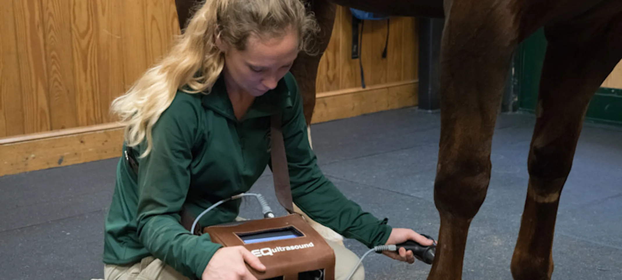 Staff members looking at an ultrasound Staff members looking at an ultrasound