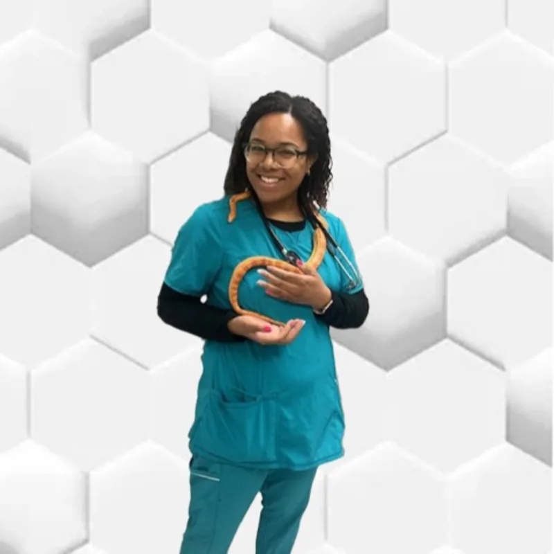 Dr. Kayla Orso Dr. Kayla Orso