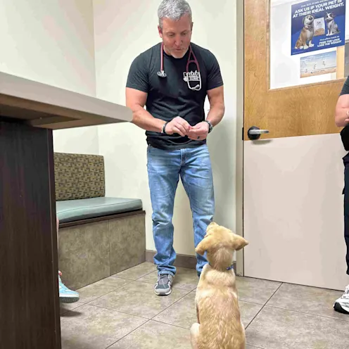 Dr. Mayfield Teaching a Dog New Tricks Dr. Mayfield Teaching a Dog New Tricks