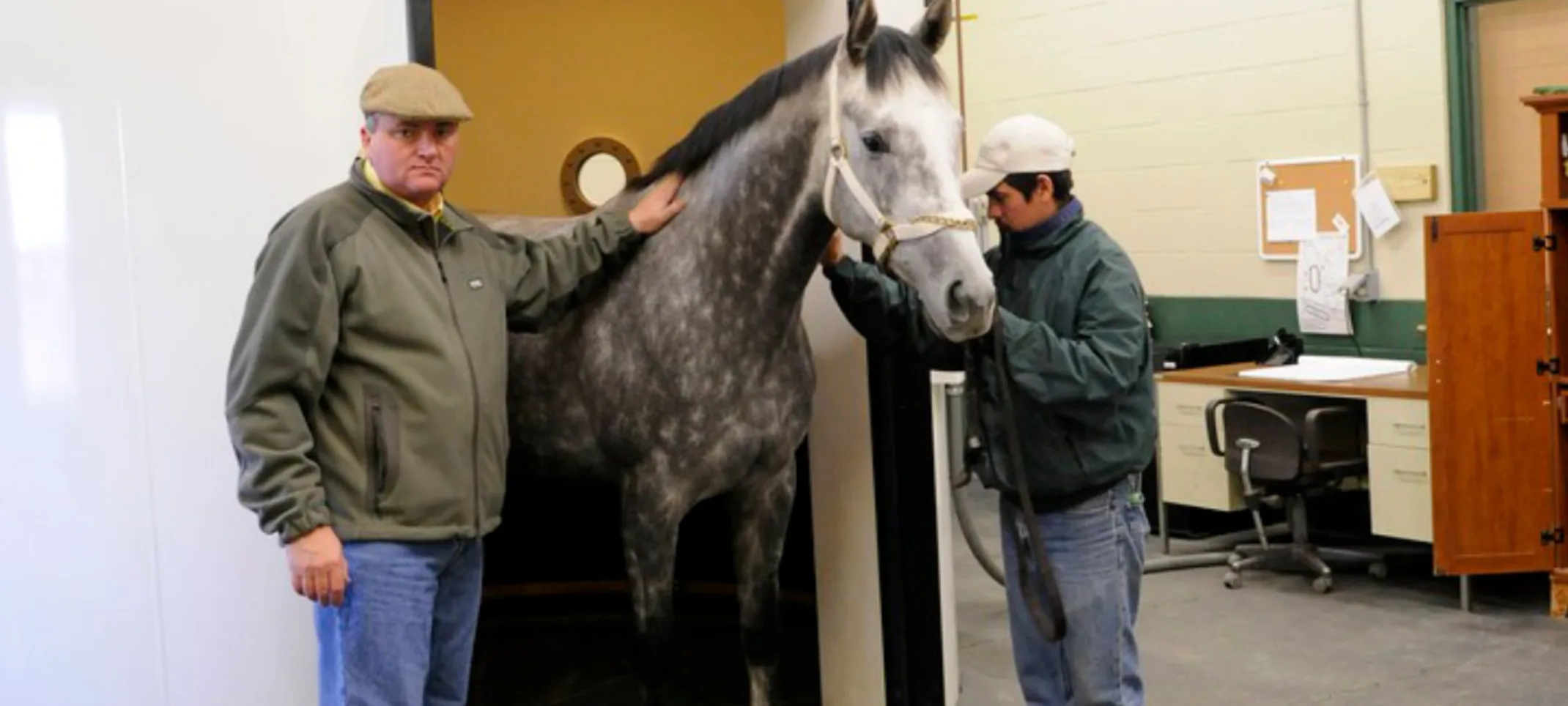 Two men standing with a gray and white speckled horse