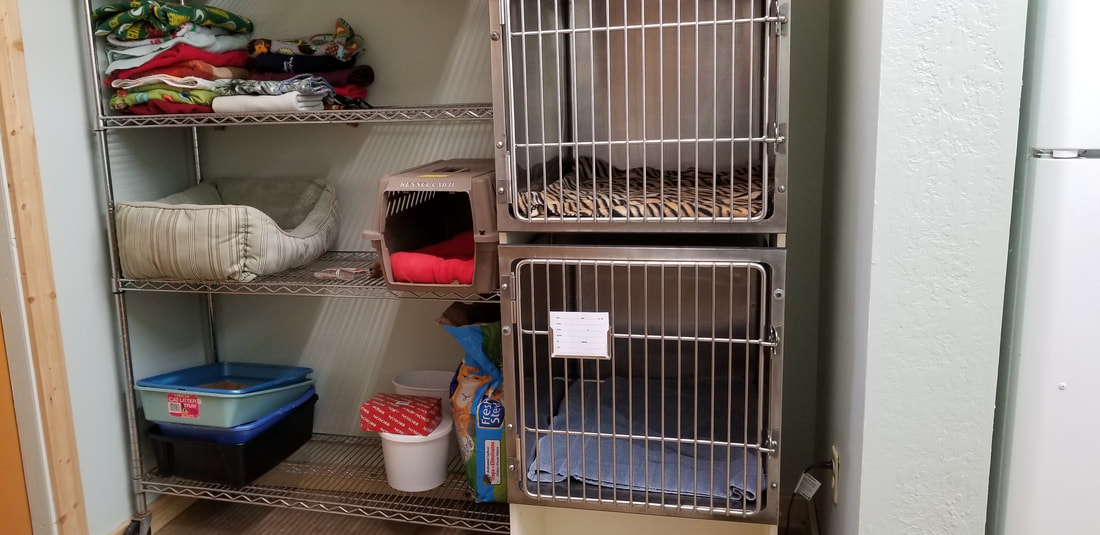 Some of our cat cages here at All Creatures Veterinary Clinic