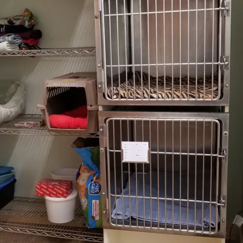 Some of our cat cages here at All Creatures Veterinary Clinic