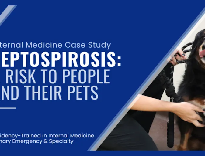 Leptospirosis: A Risk to People and Their Pets Blog Image Leptospirosis: A Risk to People and Their Pets Blog Image