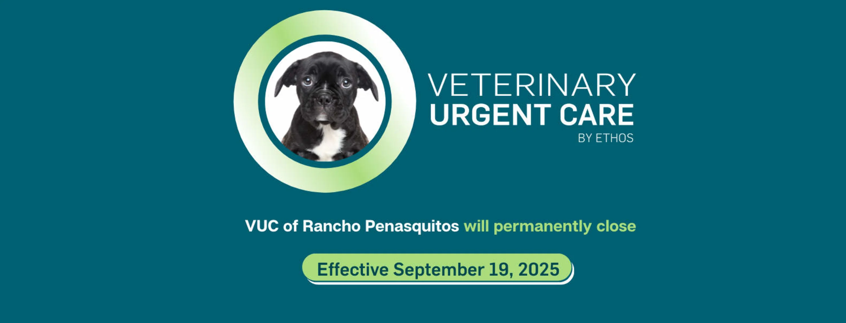 A closure graphic with a brown puppy on the front. A closure graphic with a brown puppy on the front.