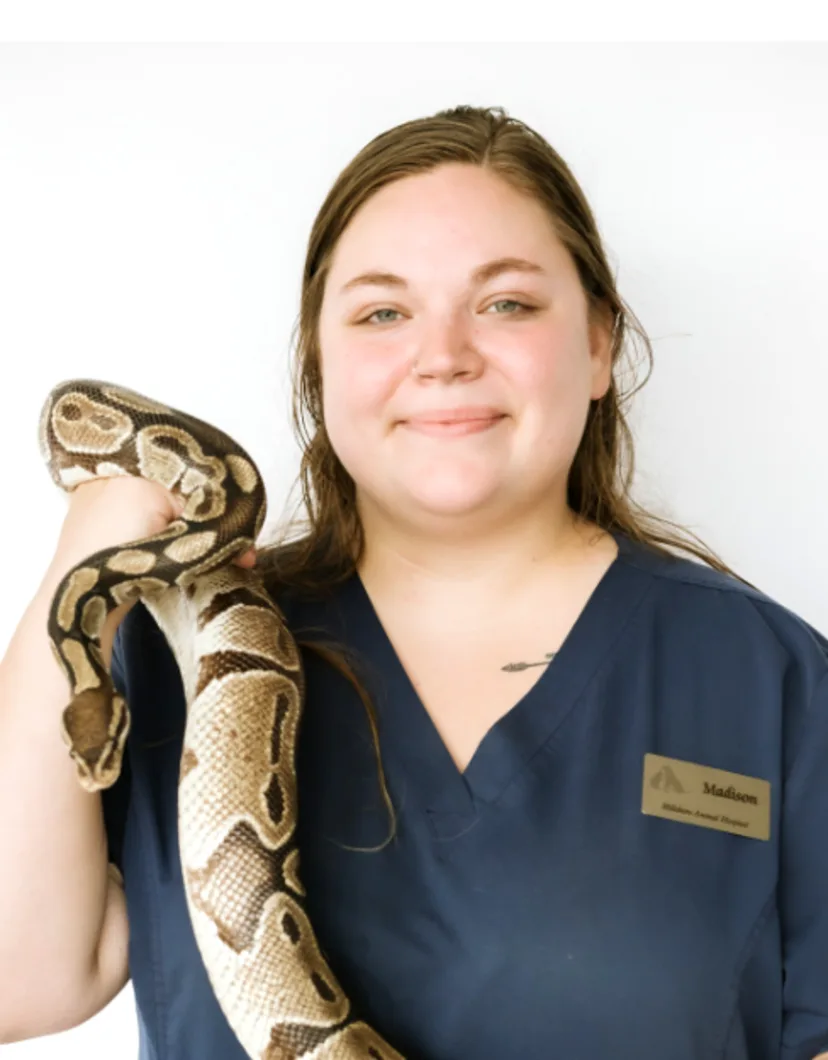 A portrait photo of Veterinary Assistant Madison