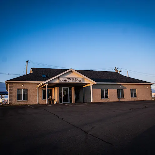 Exterior of Summerside Animal Hospital Exterior of Summerside Animal Hospital