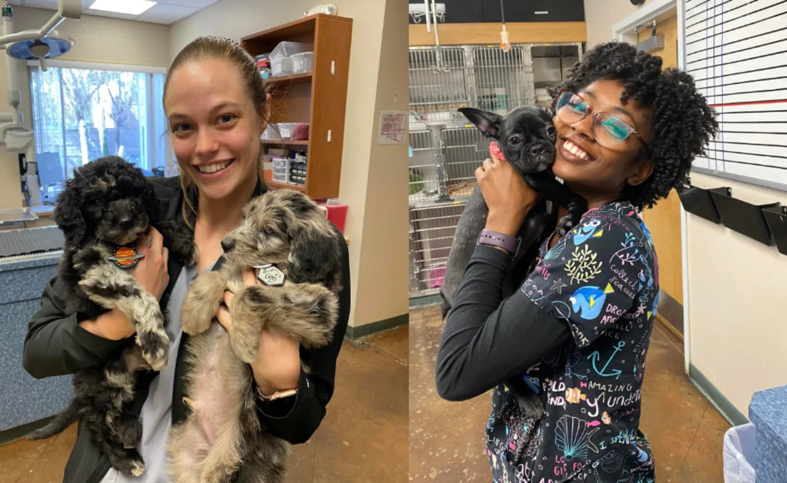Two Staff Members Holding Dogs at Alta Mesa Animal Hospital Two Staff Members Holding Dogs at Alta Mesa Animal Hospital